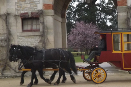 Le Relais des Epeires - photo 2