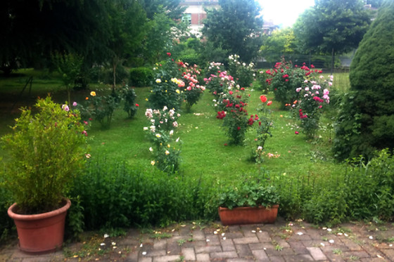 B&B La Corte delle Rose - photo 3