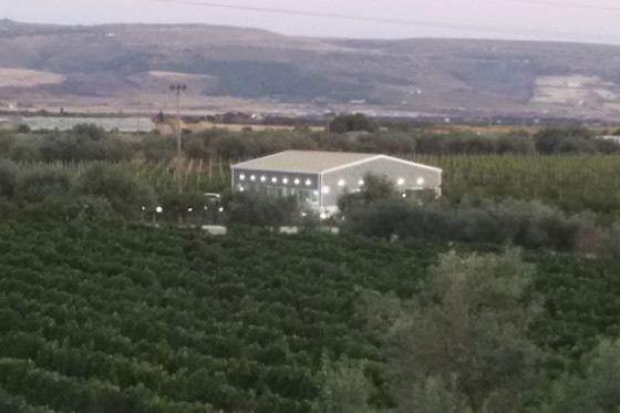 Le Vigne di Totò - photo 1