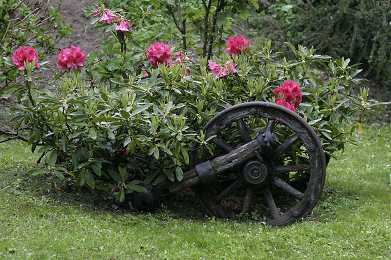 Silenzio e Buio - photo 0