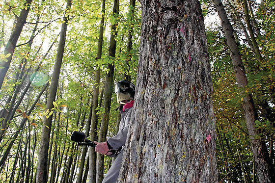 ASTUR PAINTBALL - photo 0