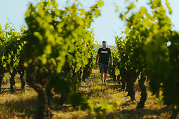 Domaine de l'Argenteille