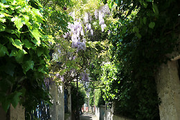 Paris Par Rues Méconnues