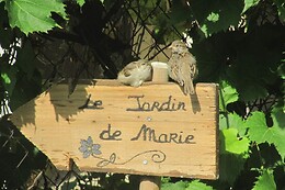 Le Jardin de Marie