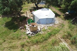 FOREST DOMES