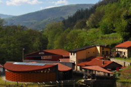 MUSEO DEL VINO DE CANGAS DEL NARCEA