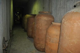 BODEGA CRISTO DEL HUMILLADERO