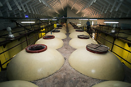 BODEGA CRISTO DEL HUMILLADERO