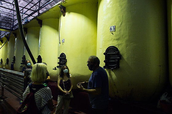 BODEGA CRISTO DEL HUMILLADERO - photo 8