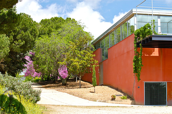 BODEGA LA LEGUA - photo 1