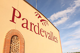 VIÑEDOS Y BODEGA PARDEVALLES