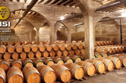 BODEGAS SAN ISIDRO