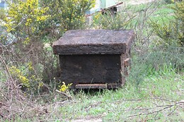 A Apicultora na Terra das Abelhas