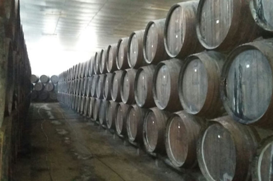 BODEGAS SILLERO - photo 0