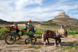 BODEGAS COMENGE