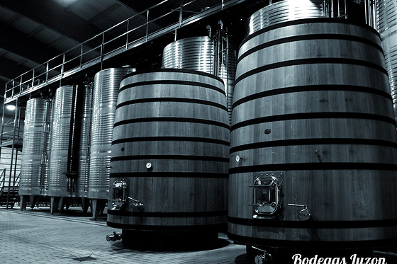 BODEGAS LUZON - photo 0