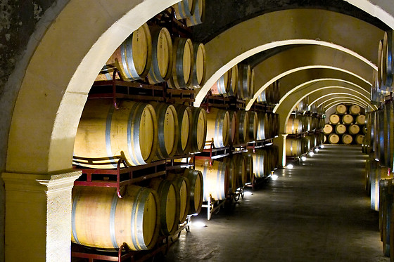 BODEGAS LUZON - photo 2