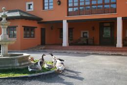 HOTEL RURAL YEGUADA ALBEITAR