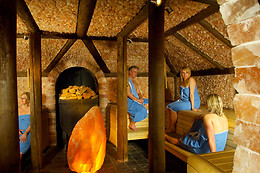 Wellness & Beauty Sauna de Woudfennen