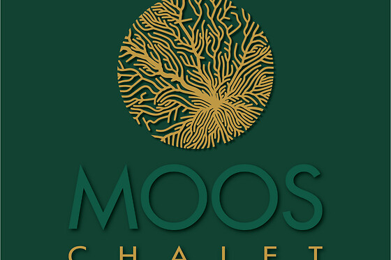 Chalet Moos - photo 7