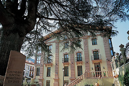 HOTEL PALACIO AZCARATE