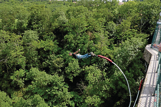 Elastic Crocodil Bungee - photo 2