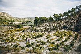 BODEGAS GRATIAS