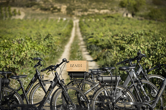 BODEGA FINCA VILLACRECES & BODEGA IZADI - photo 17