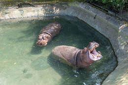 Parc zoologique de Maubeuge