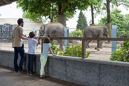 Parc zoologique de Maubeuge