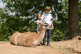 Parc zoologique de Maubeuge