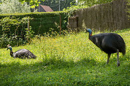 Parc zoologique de Maubeuge