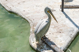 Parc zoologique de Maubeuge