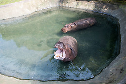 Parc zoologique de Maubeuge