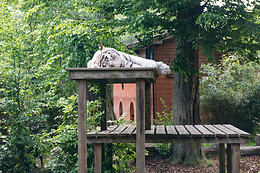 Parc zoologique de Maubeuge