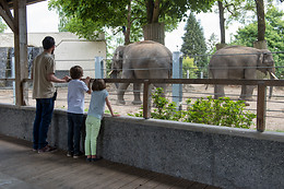 Parc zoologique de Maubeuge