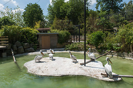 Parc zoologique de Maubeuge