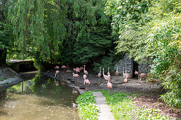 Parc zoologique de Maubeuge