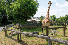 Parc zoologique de Maubeuge