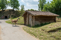 Parc zoologique de Maubeuge