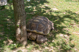 Parc zoologique de Maubeuge