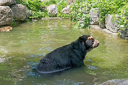 Parc zoologique de Maubeuge