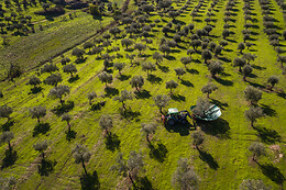 QUINTA DO PRADO - ACUSHLA