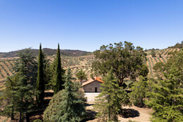 QUINTA DO PRADO - ACUSHLA