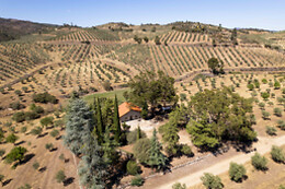 QUINTA DO PRADO - ACUSHLA