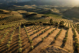 QUINTA DO PRADO - ACUSHLA