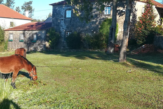 QUINTA DO CAMBEIRO - photo 1