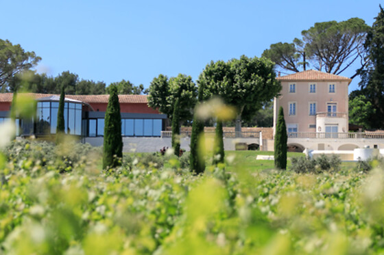 Château De La Roque Forcade - photo 10