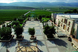 BODEGAS FRANCISCO GOMEZ