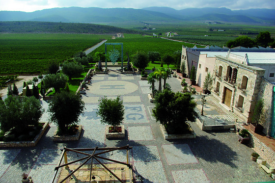 BODEGAS FRANCISCO GOMEZ - photo 1